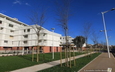 Investissement locatif : le plan le plus rentable dans la pierre